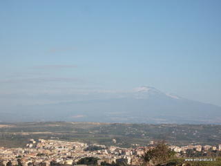 tapiccola-13-01-2013 09-15-04